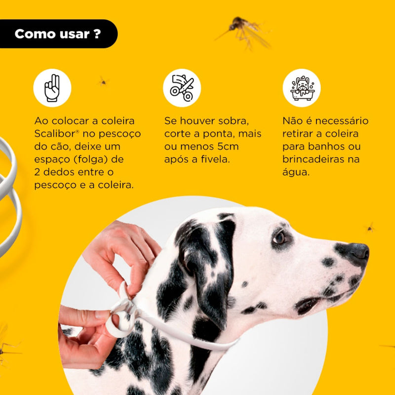 Antipulgas Bravecto Cães 10 a 20kg MSD
