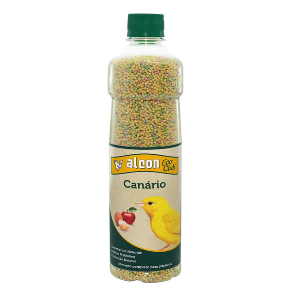 Pássaros